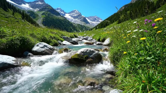 Mountain stream flowing through lush alpine meadows under a clear blue summer sky