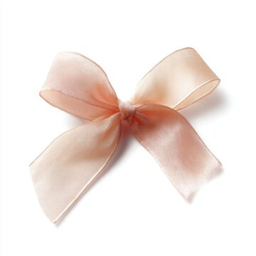 Isolated peach silk ribbon bow decorative element for gift wrapping