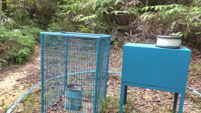 Forest study, synecology, carbon dioxide consumption and oxygen release, air pollution. Amount of precipitation, leaf litter. Instruments installed in tropical forest of Malay Peninsula. Malaysia.