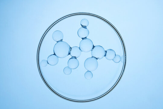 Abstract cosmetic lab. Chemical molecule structure forming in petri dish