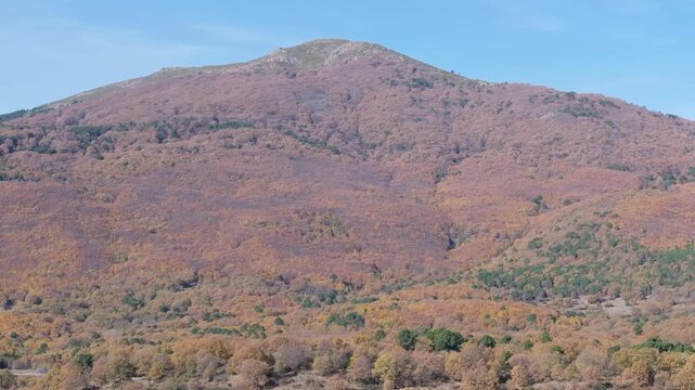 Drone shot with parallax effect over El Mirlo, showing chestnut forests with vibrant autumn colors on its slopes. The movement creates a cinematic sense of depth.