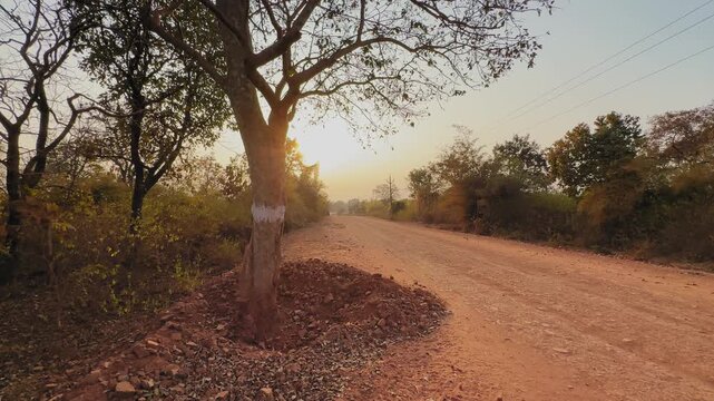 Tilt-up shot of a roadside tree marked with white paint beside an unpaved rural road in warm evening light, documenting pre-construction surveying for road widening and infrastructure development.