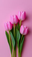 Obraz premium Bouquet of pink tulips on pastel background arranged vertically creating elegant spring floral composition.