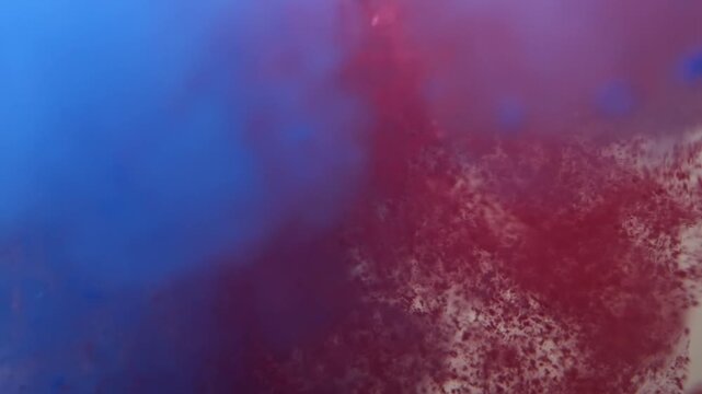 Blue and red paint cloud spreading in water on a white background. Premium marketing concept for overlay effects, creative branding, banner and advertising layout design, beauty, and fashion, holidays