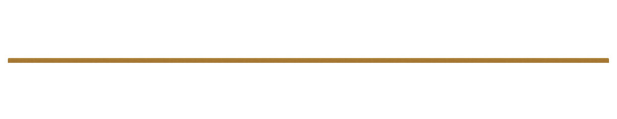 Obraz premium Strip from exclusive wood with painted metallic bright brown paint, horizontal, - very long. On isolated transparent background.