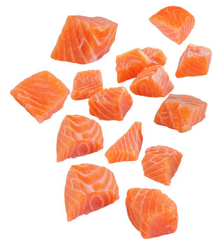 Flying raw salmon fish isolated on white background. Levitating seafood pieces. Salmon, trout, pieces Explotion. Pattern