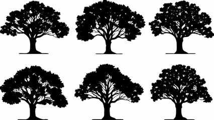 Fototapeta premium A set of six black tree silhouettes on a white background