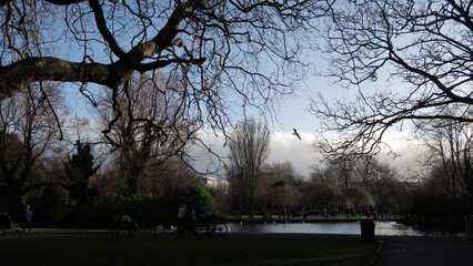 Dublin, Ireland.  St. Stephen's Green is a garden square and public park located in the city centre. The current landscape of the park was designed by William Sheppard.