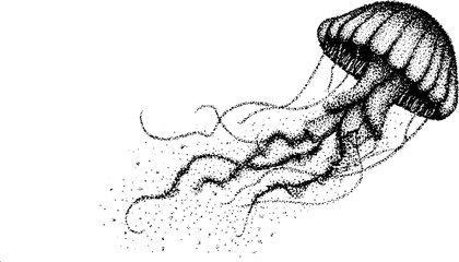 Obraz premium Black and white jellyfish stippling illustration - dotwork style for artistic design