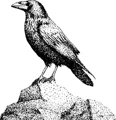 Fototapeta premium Raven perched on rock in black and white stippling art for vintage design