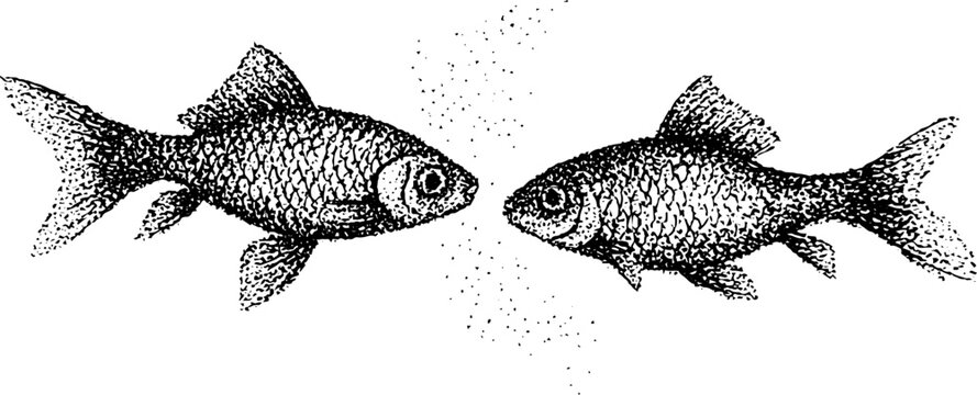 Zodiac pisces twin fish symbol in black and white stippling style for design projects