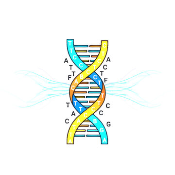 Colorful DNA Double Helix Structure Illustration with Genetic Code and Molecular Biology Concept on White Background