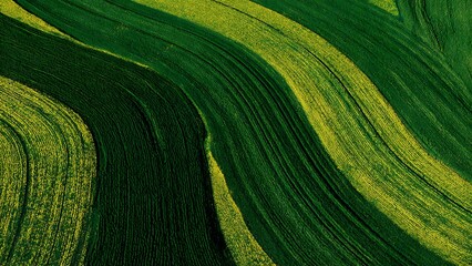 Naklejka premium Aerial view of agricultural fields forming geometric patterns. Modern farming landscape with symmetry and texture.