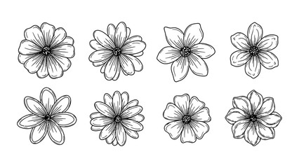 Obraz premium Set of hand drawn flower line art illustrations for botanical design and floral patterns