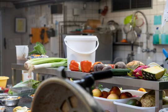 Zoo kitchen food preparation area with industrial equipment, fresh fruits and vegetables being processed for animal feeding, professional workspace in zoological park.
