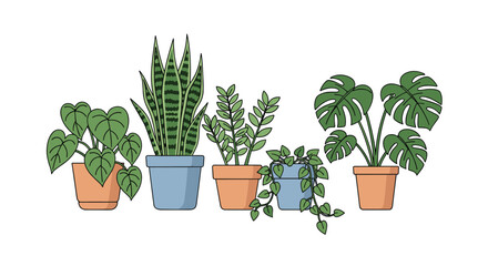 Obraz premium Collection of common indoor houseplants in various colorful pots including snake plant, monstera, and ivy vines.