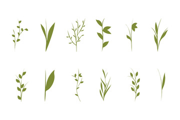 Obraz premium Twelve simple green plant stems and leafy branches illustrate diverse botanical shapes. They are clearly displayed on a plain white surface, each showing unique forms.