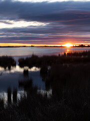 Obraz premium Sun setting over calm water with reflections in a peaceful wetland environment.