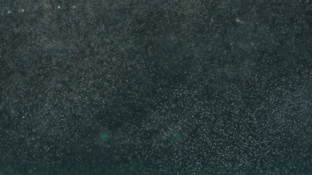 Dark water background with countless tiny suspended particles and soft sparkling highlights. Concepts for advertising layouts for space technologies, covers for science fiction, packaging design.