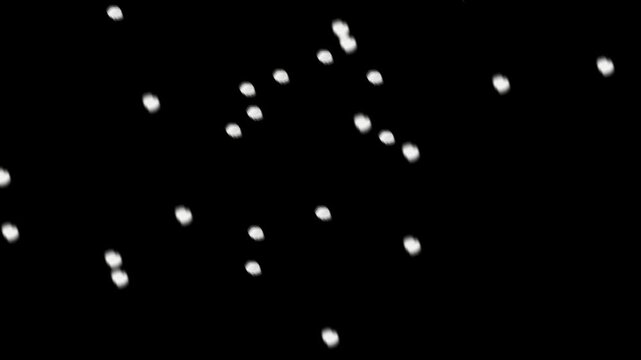 4k ひらひら舞う白梅の花びらのクロマキー素材（ぼかし）