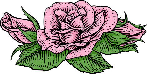 Obraz premium A rose flower woodcut illustration in a vintage engraved etching woodcut style