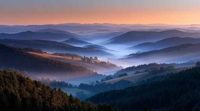 Stimmungsvolle Waldlandschaft mit Tannenw&auml;ldern und Nebelschwaden in Blau-Graut&ouml;nen bei D&auml;mmerung