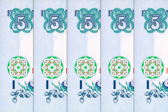 Fragment of a 5 hryvnia banknote with a portrait of Hetman Bohdan Khmelnytsky. Paper money of Ukraine.