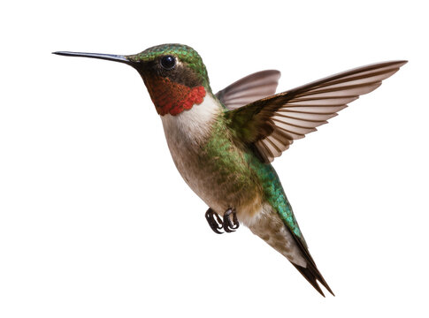 Vibrant ruby-throated hummingbird in mid-flight, its iridescent green feathers and striking red gorget beautifully isolated, a perfect PNG for nature designs