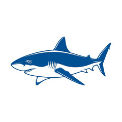 Obraz premium Blue Shark Illustration.