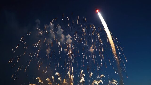 Fireworks exploding in night sky