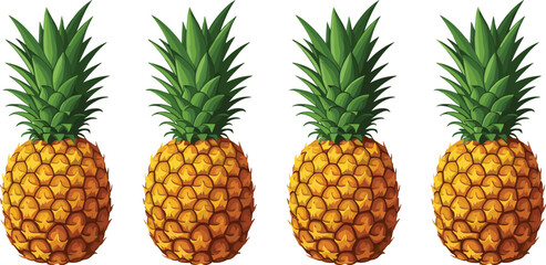 Fototapeta premium Pineapple fruit collection with whole tropical fruits, detailed realistic vector illustration for fresh food, healthy diet, and summer design