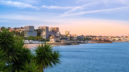 Praia da Ribeira beach and old town of Cascais, Portugal framed by green Yucca plant leaves at sunset. Panorama of calm blue sea, modern architecture and historic buildings © Julia Lavrinenko