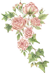Naklejka premium Watercolor delicate pink roses, ivy branches and leaves bouquet illustration, garden floral arrangement clipart, flowers clip art