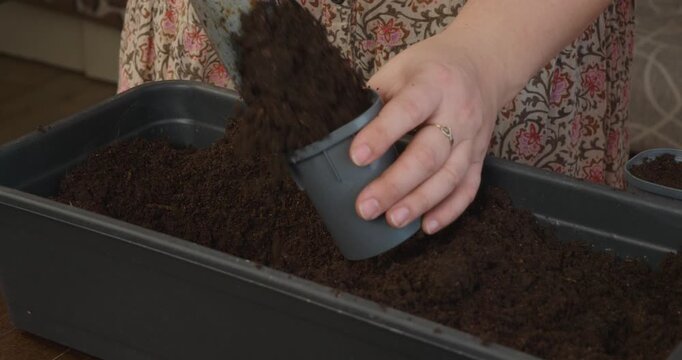 A woman and her young daughter prepare soil for seedlings. Using a garden trowel, they fill small pots with fertile soil, demonstrating how to garden together.