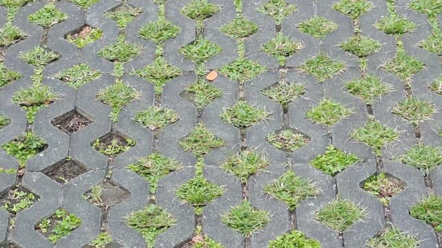 Interlocking paving blocks for planting grass, concrete.