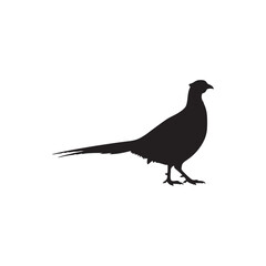 Fototapeta premium Common pheasant silhouette vector flat illustration design.