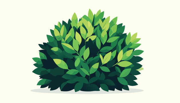 Lush green bush with dense clustered leaves forming a rounded silhouette simple clean look gentle gradients natural garden