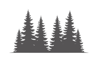 Fototapeta premium Dark grey silhouette of a dense forest of pine trees