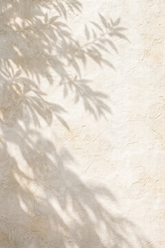 Soft shadow of leaves on textured light wall background