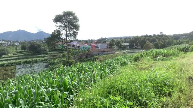 rural environment landscape countryside indonesian village west java village life tropical rural