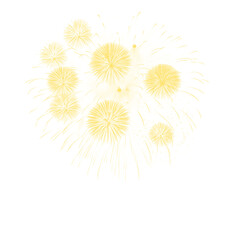 Obraz premium Isolated Firework Burst PNG on White Background for Graphic Projects.
