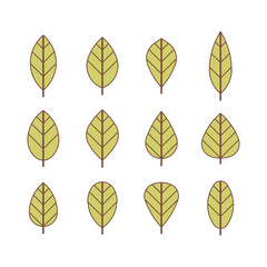 Set of green leaves. Plant cuttings. Eco emblem. Tree leaf with veins. © Lili Kudrili