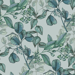 Fototapeta premium Hand Drawn Eucalyptus Branch Illustration. Green Silver Dollar Eucalyptus Leaf Vector Isolated on White. Elegant Botanical Floral Element for Wedding Design and Home Decor