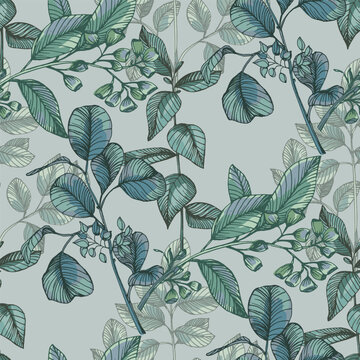 Hand Drawn Eucalyptus Branch Illustration. Green Silver Dollar Eucalyptus Leaf Vector Isolated on White. Elegant Botanical Floral Element for Wedding Design and Home Decor