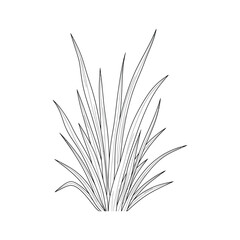 Fototapeta premium Grass Clipart Line Art Growth Concept