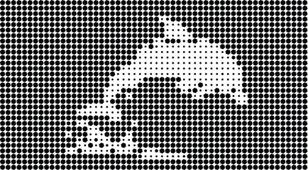 A black and white image of a cat's face © NurJahan