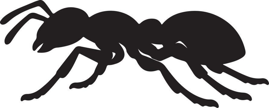  ANT Icon &ndash; Vector Illustration