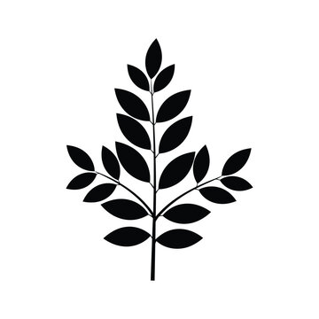 Leaf Branch Vector Growth Concept