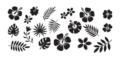 Tropical hibiscus flowers and palm leaves vector illustrations and patterns © MST