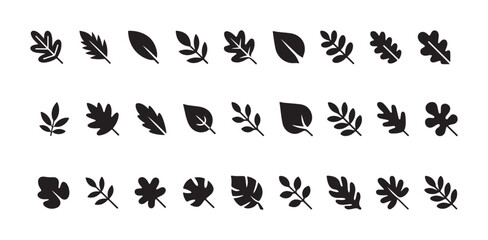 Fototapeta premium Various autumn and tropical leaves vector icons and elements